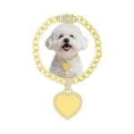 Kynox Cuban Gold Link Heavy Duty Necklace Dog Cat Collar