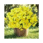 Bakkiet Artificial Flowers For Outdoors, 12 Bundles Fake Plants For