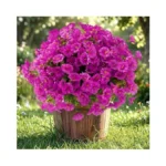 Bakkiet Artificial Flowers For Outdoors, 12 Bundles Fake Plants For