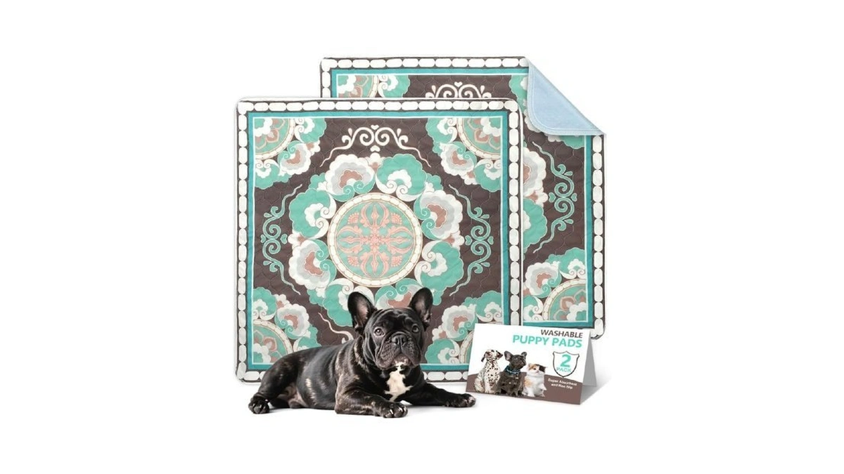 Deamoser Washable Dog Pee Pads 2-pack, 31.5" X 31.5" Reusable