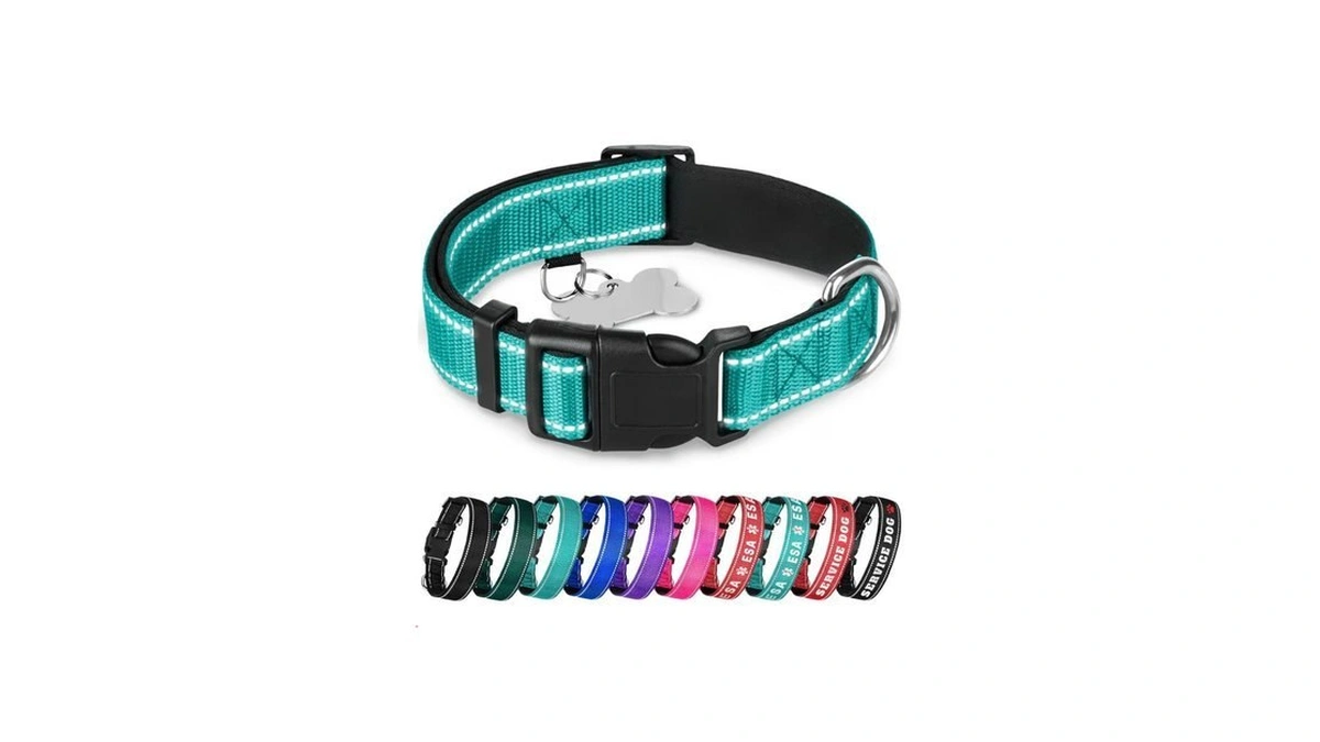 Teceum Reflective Dog Collar – Aquamarine – M – Extra
