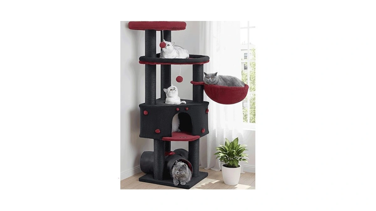 Cat Tree Tower For Large Cats Adult - 60 Inch