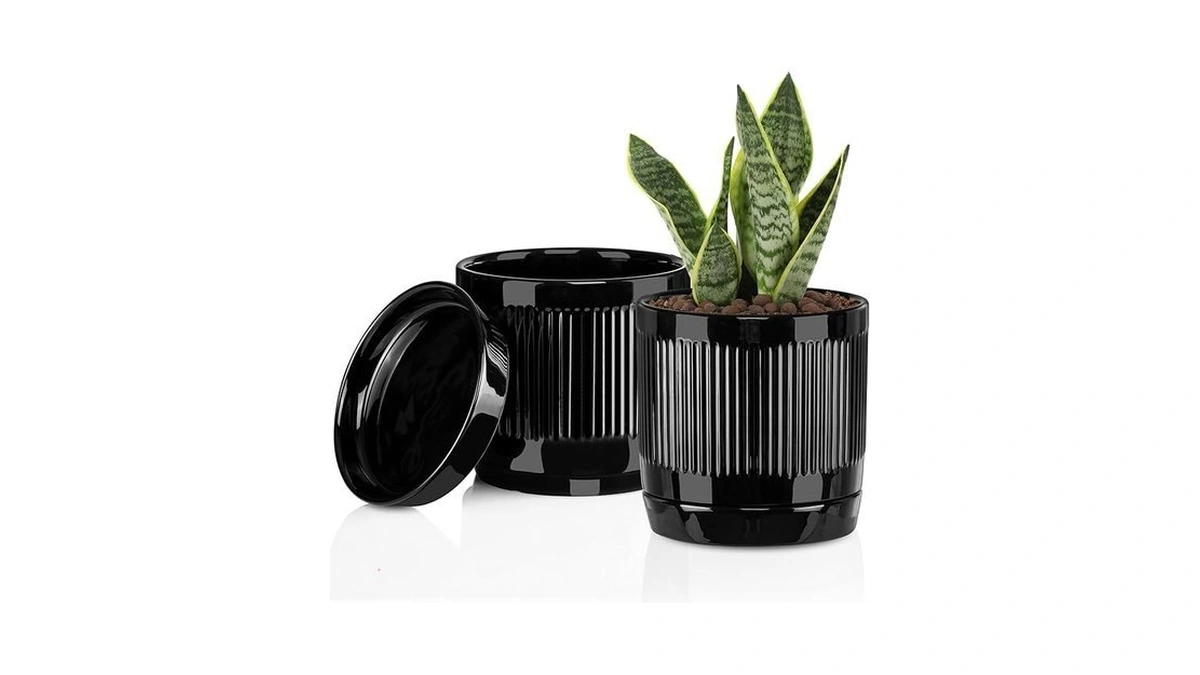 Vanavazon Plant Pots Clip Coupon