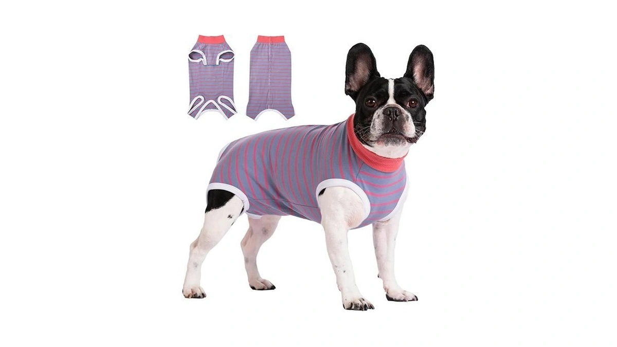 Clorvint Dog Recovery Suit For Female Spay, Dog Onesie Surgery