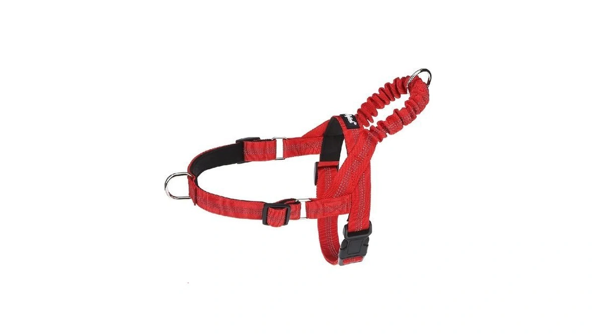 Pupteck No Pull Dog Harness Small Sized Dog, Adjustable Reflective