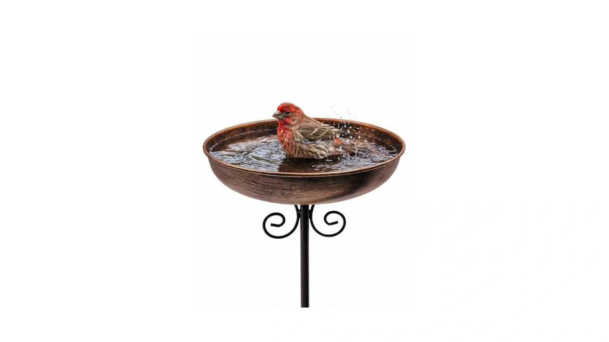 Ouisjyer Small Metal Bird Bath For Outdoors, 10" Dia Bowl