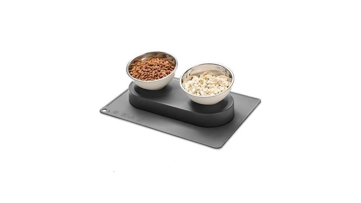 Marchul Stainless Steel Elevated Dog Food Bowls Set With Spill