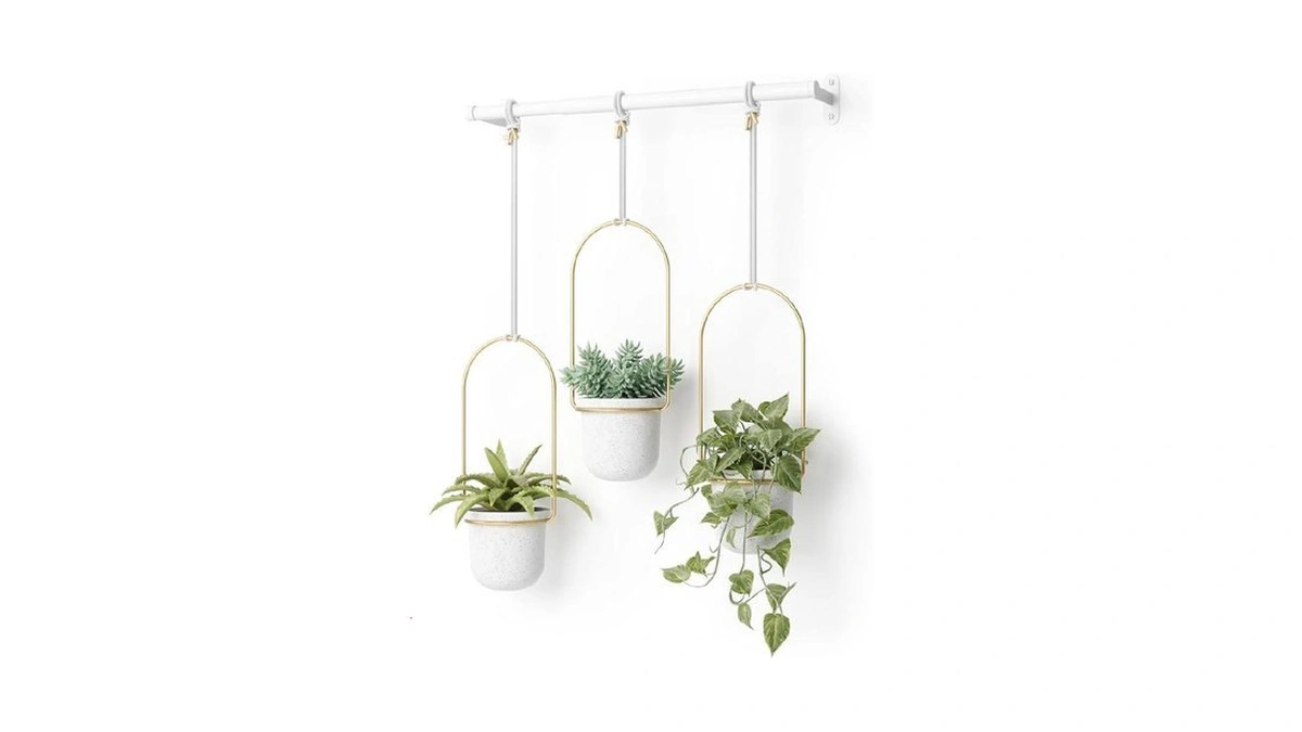 Umbra Triflora Hanging Planter For Window, Indoor Herb Garden, Set