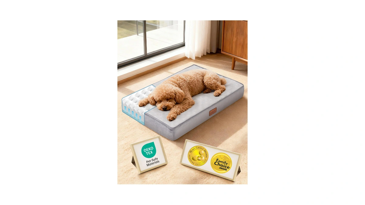Ohgeni Orthopedic Waterproof Dog Bed For Small Dogs, Machine-washable Removable