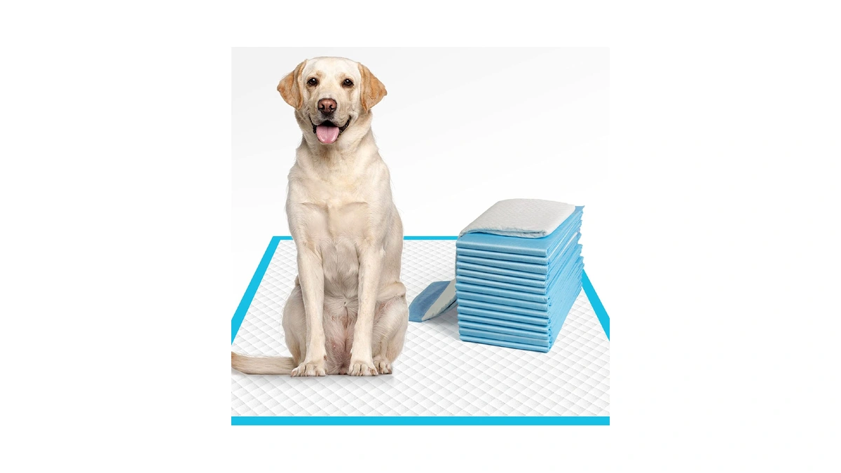 Immcute Dog Pee Pads Extra Large 28"x34", X-large Training Puppy