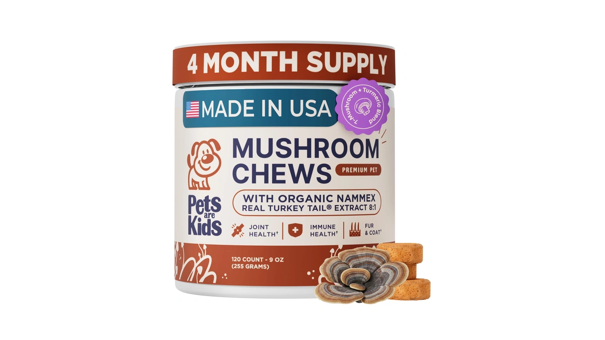 Pets Are Kids Turkey Tail Mushroom For Dogs With Organic