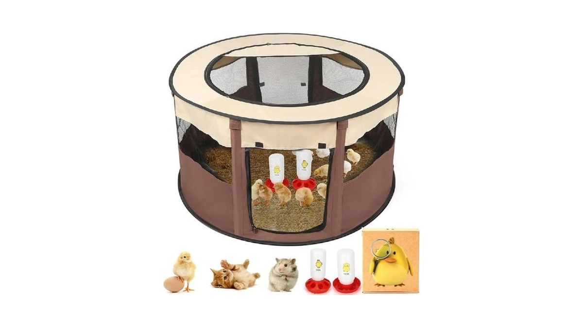 Chicken Brooder Box For Chick Starter Kit - 2026 Upgrade