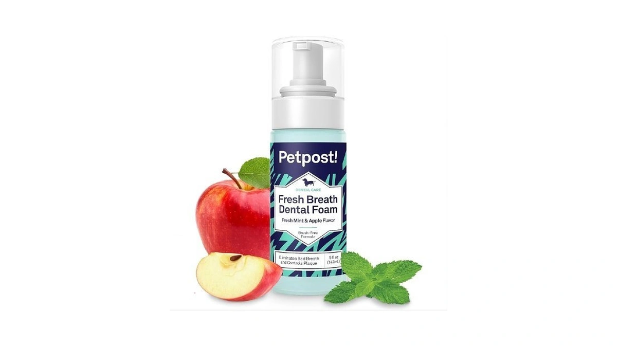 Petpost | Fresh Breath Foam For Dogs - Mint &