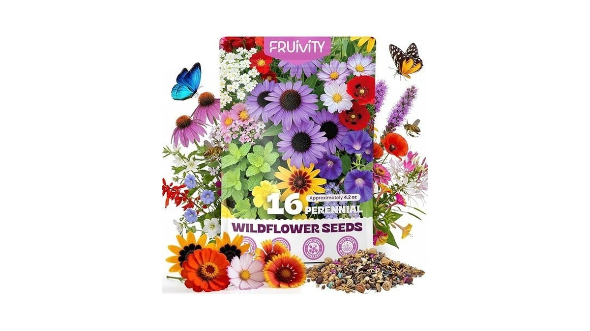 200,000+ Wildflower Seeds Bulk (4oz) – 16 Varieties Perennial &