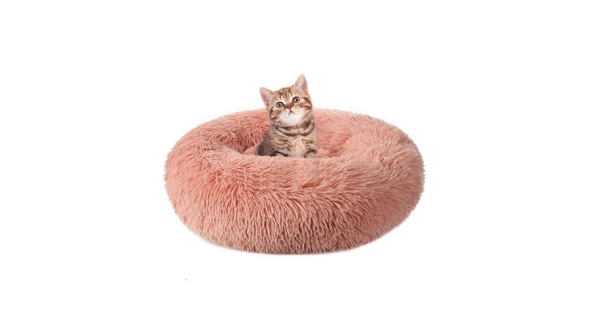 Rabbitgoo Cat Beds For Indoor, 20 Inches Machine Washable, Fluffy
