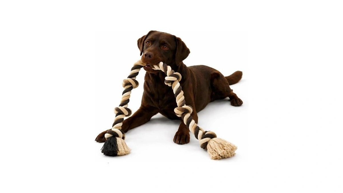 Large And Medium Dog Chew Toys For Aggressive Chewers, Dog