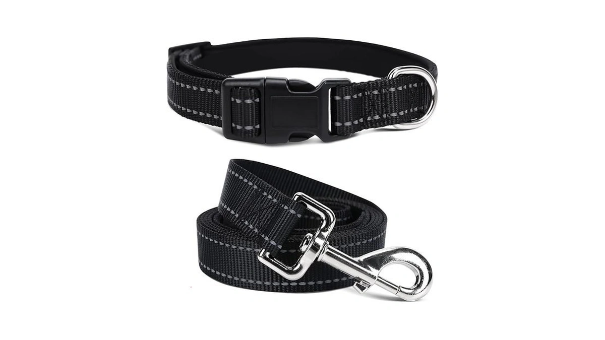 Jumpress Soft Neoprene Padded Dog Collar And Leash Set For