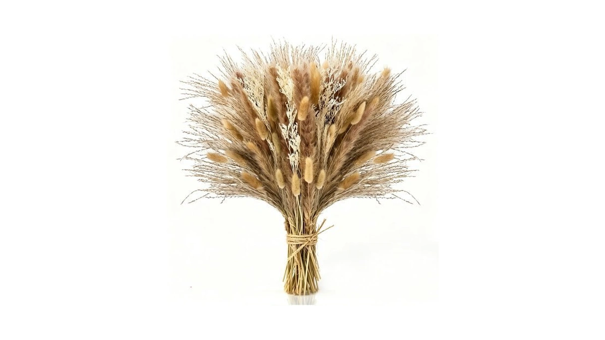 Luvano 100 Pcs Pampas Grass Boho Decor, 17" Dried Flowers