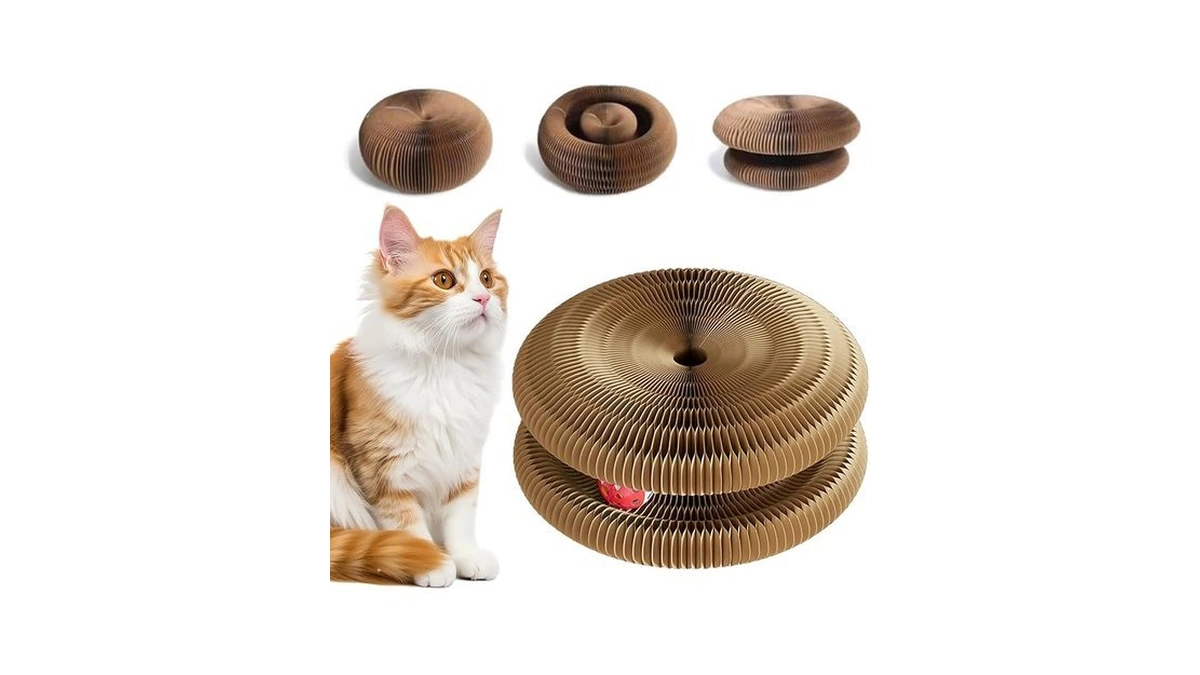 Cat Toy, Cat Scratchers For Indoor Cats Magic Organ Foldable
