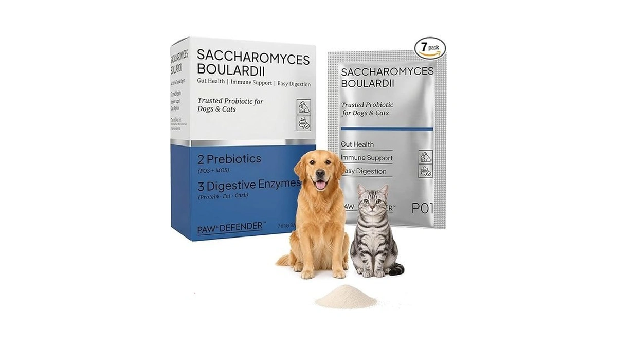 Probiotics For Dogs & Cats, Cat & Dog Probiotics For