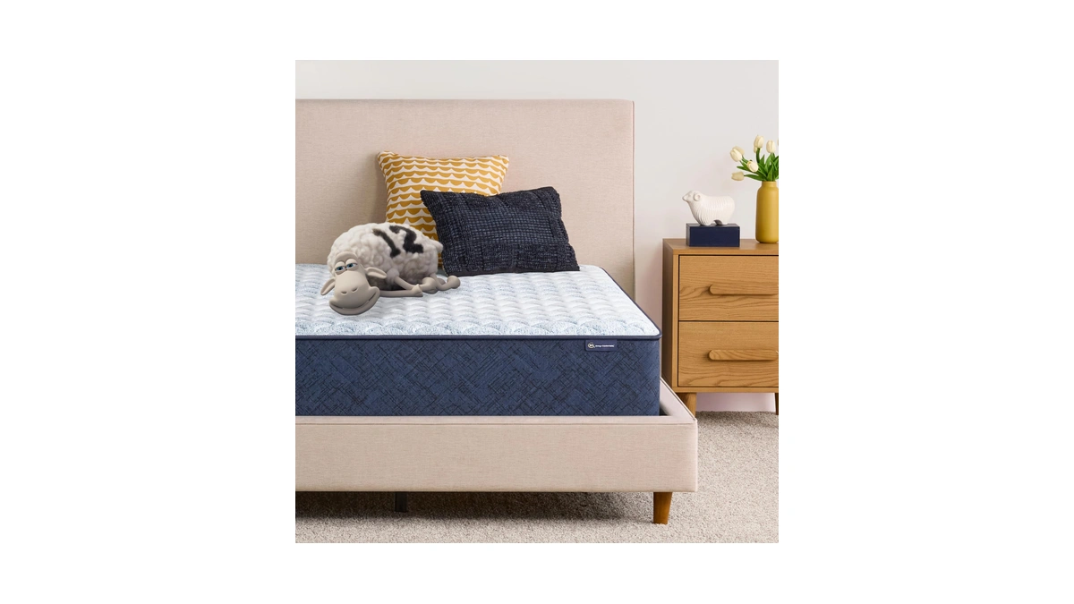 Serta Sleeptrue Firm 12" Queen Memory Foam Mattress In A