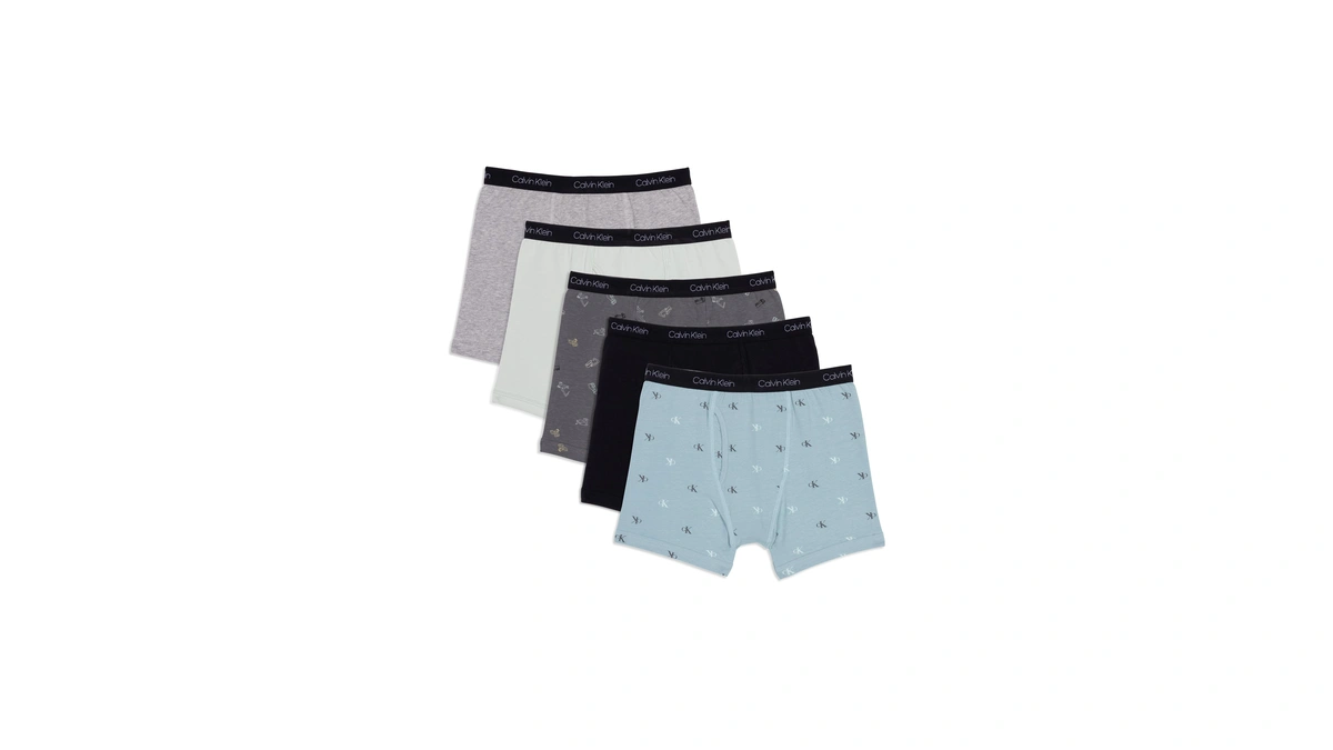 Calvin Klein Kids Boys' Modern Cotton Boxer Brief Underwear 5-pack,
