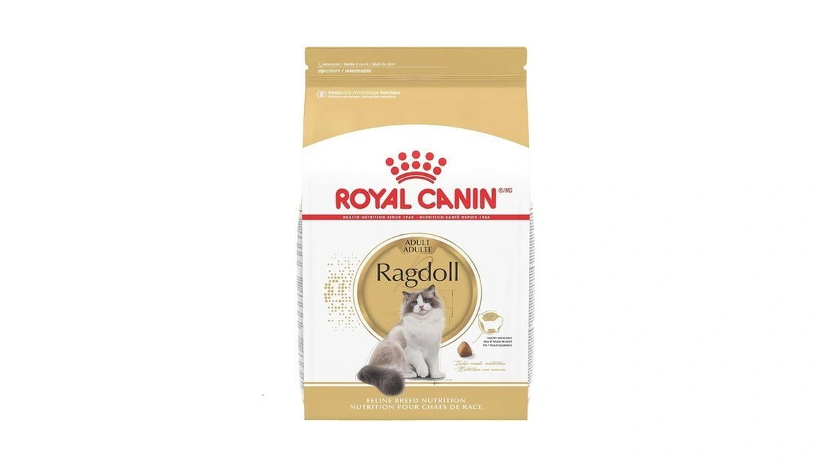 Royal Canin Feline Breed Nutrition Ragdoll Adult Dry Cat Food,