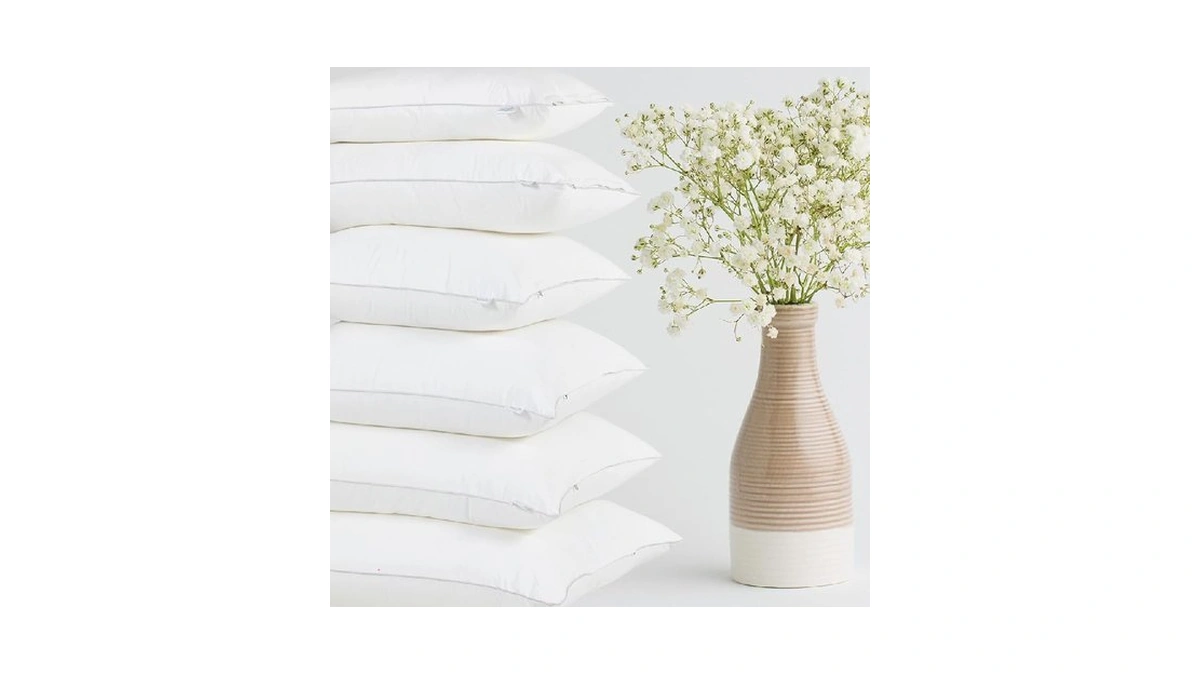 Cloudote Down Alternative Throw Pillow Insert (18"x18", Pack Of 2),