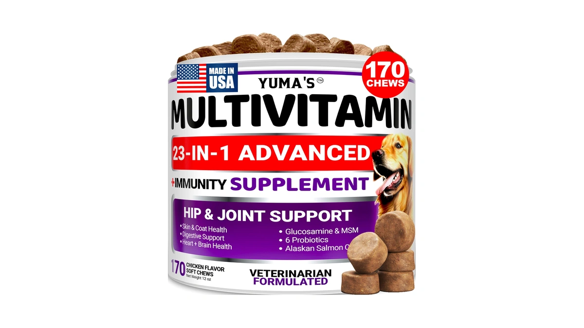 Dog Vitamins And Supplements - 170 Treats - Dog Multivitamin