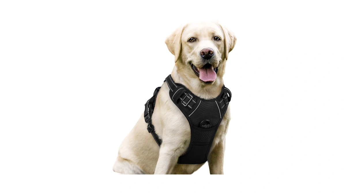 Rabbitgoo Dog Harness No Pull With 2 Leash Clips, Adjustable