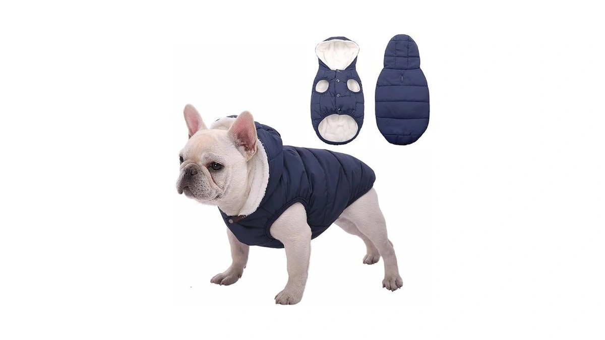 Sawmong Waterproof Dog Winter Coat, Warm Fleece Lined Dog Jacket
