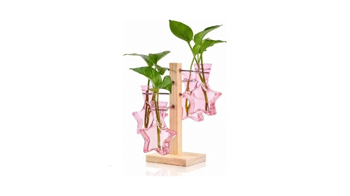 Nacome Plant Terrarium Propagation Stations: Pink Vase With Wooden Stand