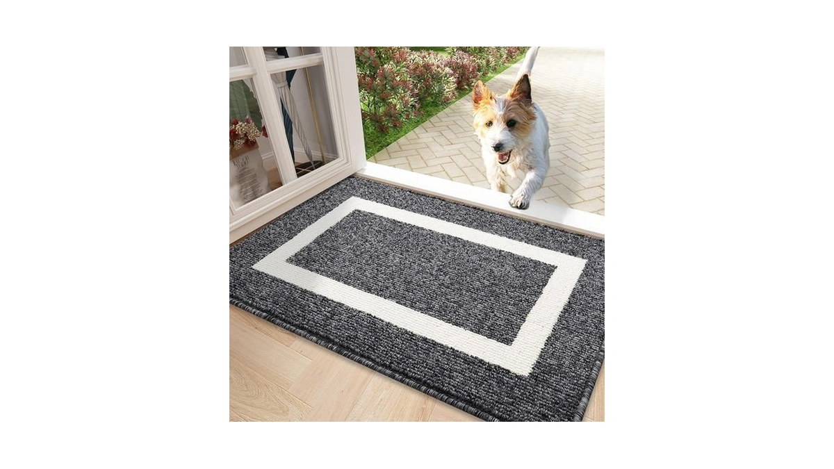 Olanly Indoor Door Mat, 30x17, Non-slip Absorbent Resist Dirt Entrance