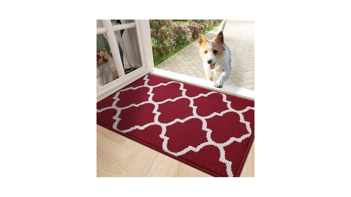 Olanly Indoor Door Mats