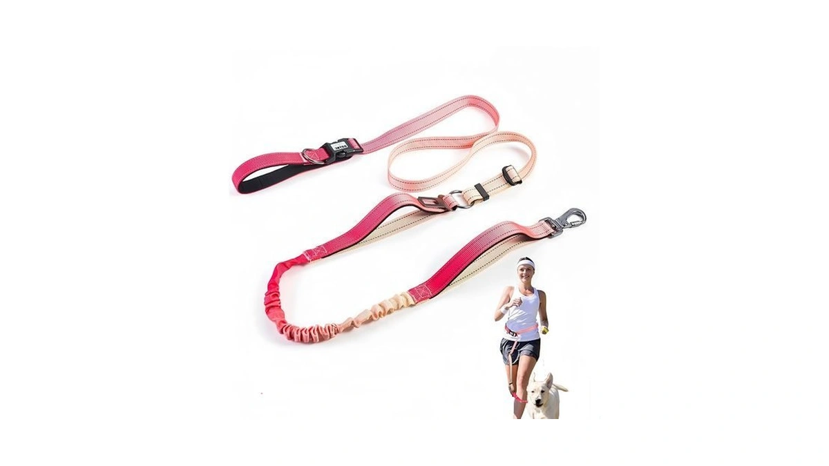 Jetog Heavy Duty Hands Free Dog Leash, 5-7 Ft Reflective