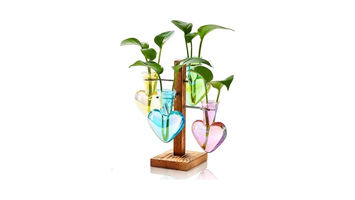 Nacome Plant Terrarium Propagation Stations: Colored Vase With Wooden Stand