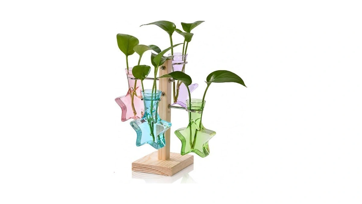 Nacome Plant Terrarium Propagation Stations: Colored Vase With Wooden Stand