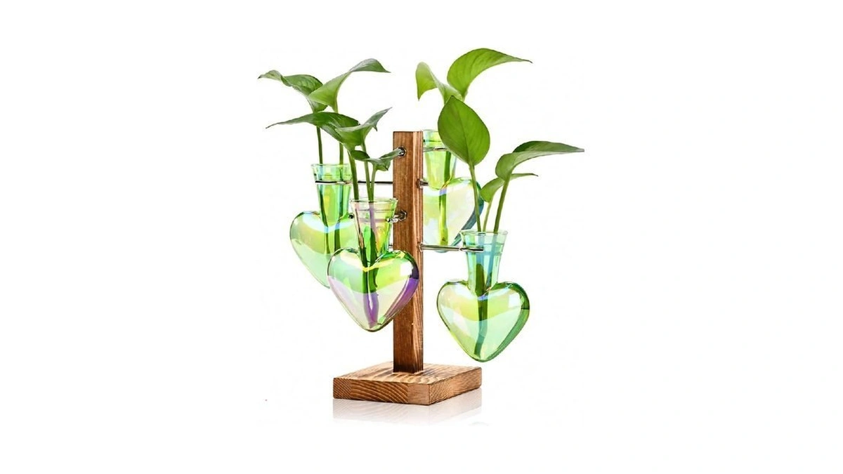 Nacome Plant Terrarium Propagation Stations: Green Vase With Wooden Stand