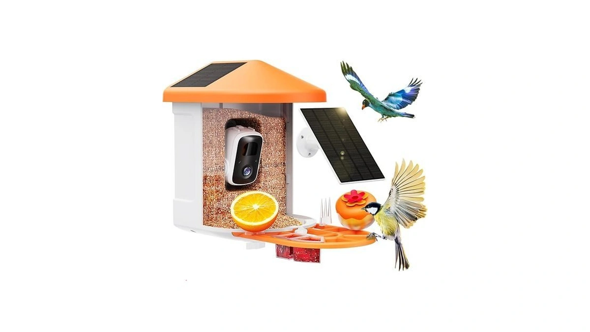Harymor Bird Feeder With Camera With Ai Identify Birds Species