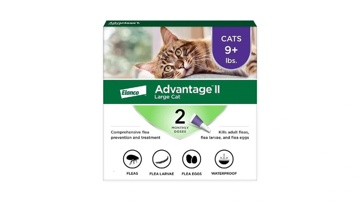 Advantage Ii Large Cat Vet-recommended Flea Treatment & Prevention |