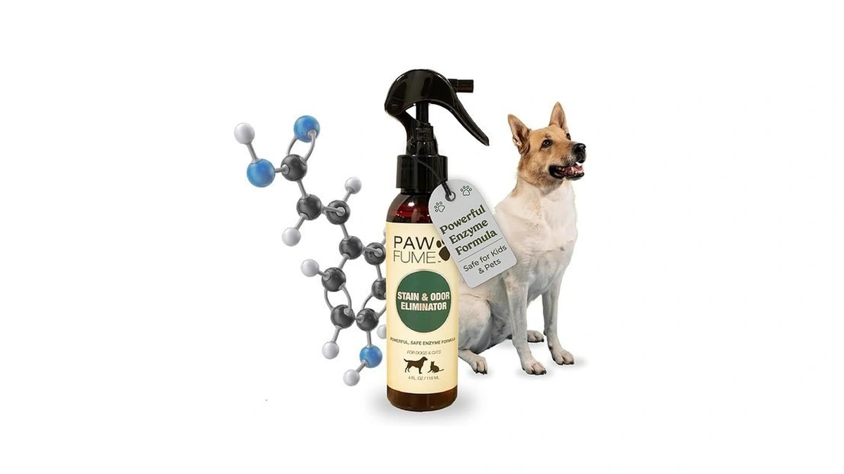 Pawfume Stain & Pet Urine Odor Eliminator, 1-pack – Removes