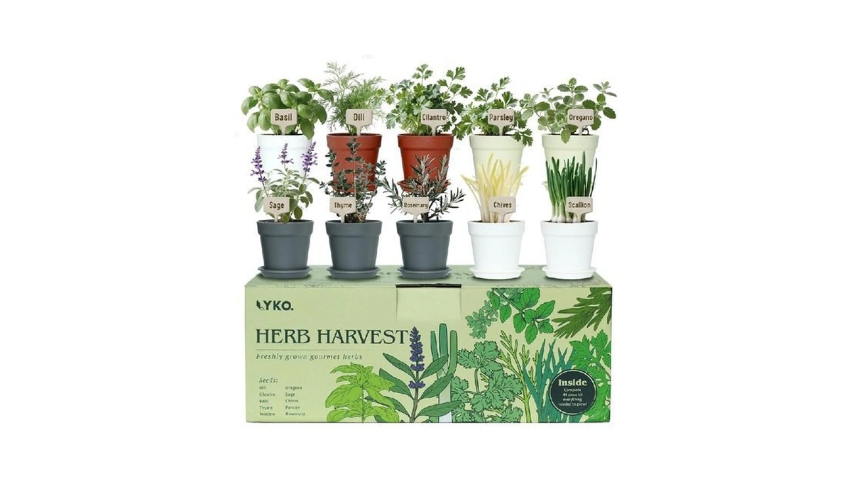 10 Indoor Herb Garden Kit, 33pcs Complete Kitchen Herb Starter