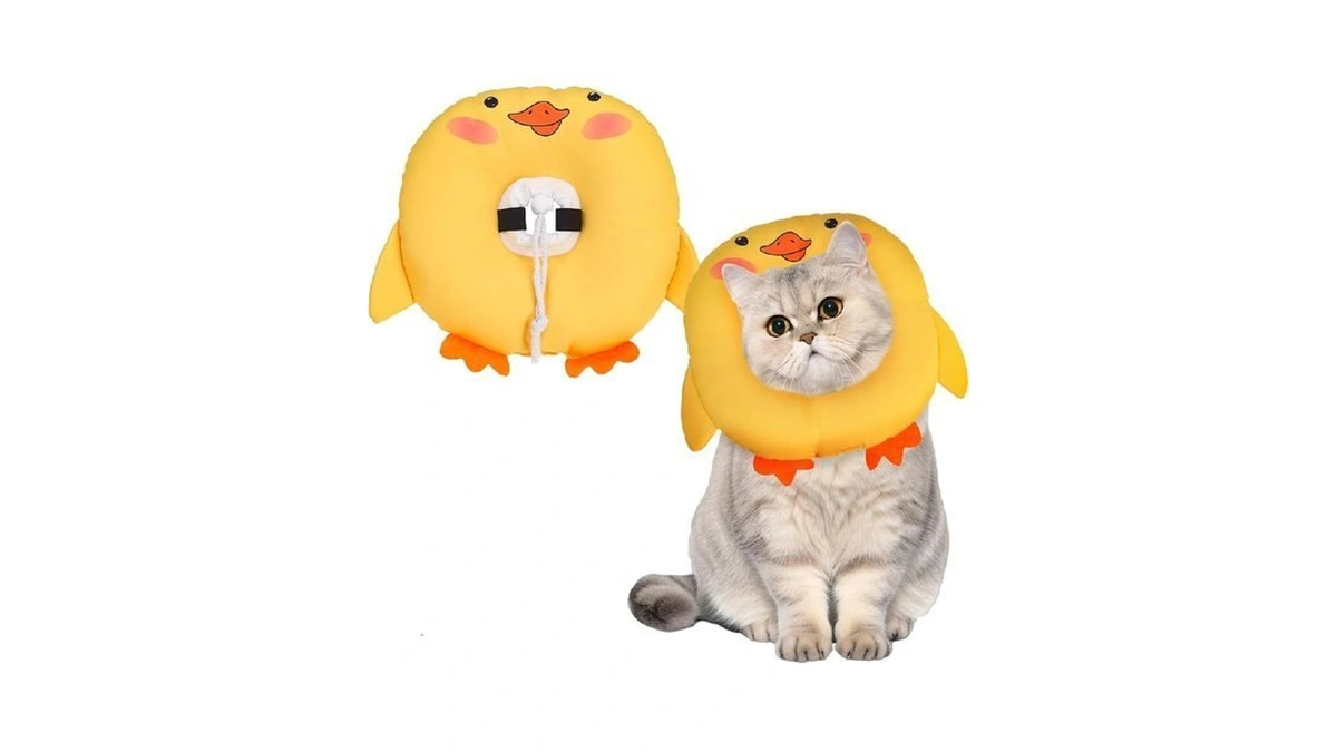 Bingpet Cat Cone Collars Soft,cat Recovery E Collars After Surgery