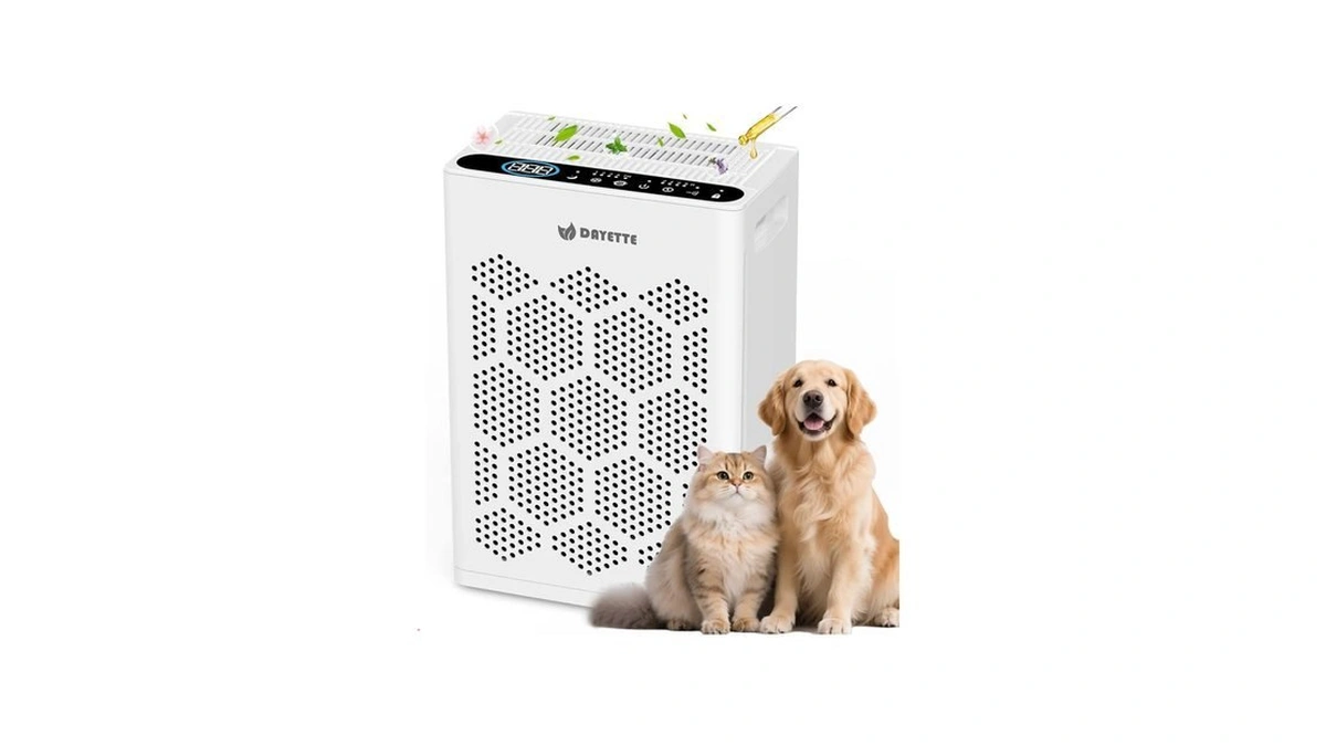 Dayette Air Purifiers For Home Large Room Up To 1800