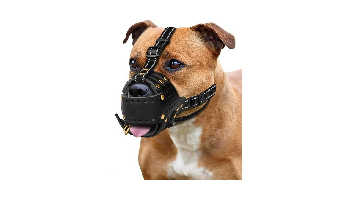 Midog Dog Muzzle For X-large Dogs, Genuine Leather Muzzles With