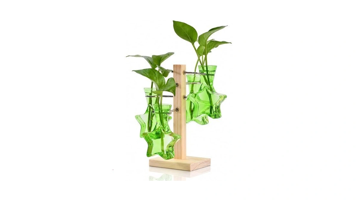 Nacome Plant Terrarium Propagation Stations: Greeen Vase With Wooden Stand