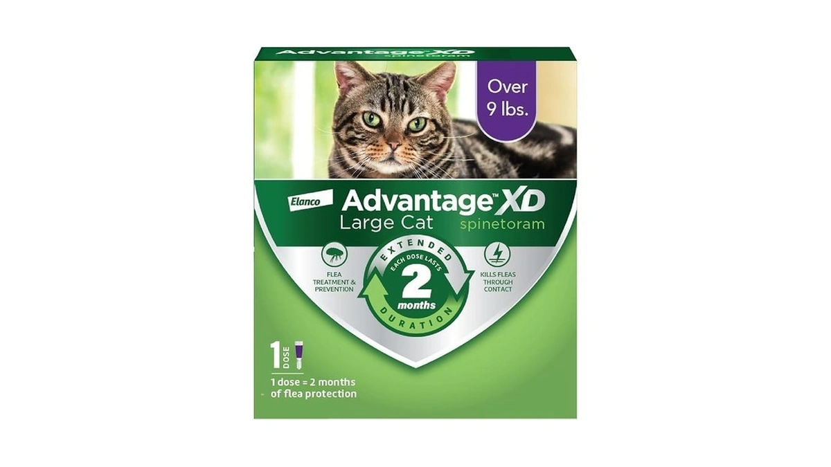 Advantage Xd Large Cat Flea Prevention & Treatment For Cats