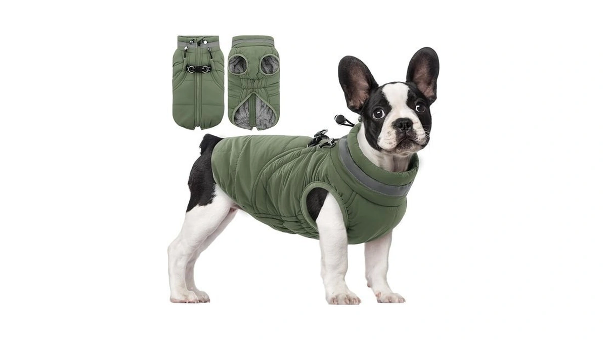 Sawmong Windproof Waterproof Dog Coat, Reflective Dog Jacket With Built-in