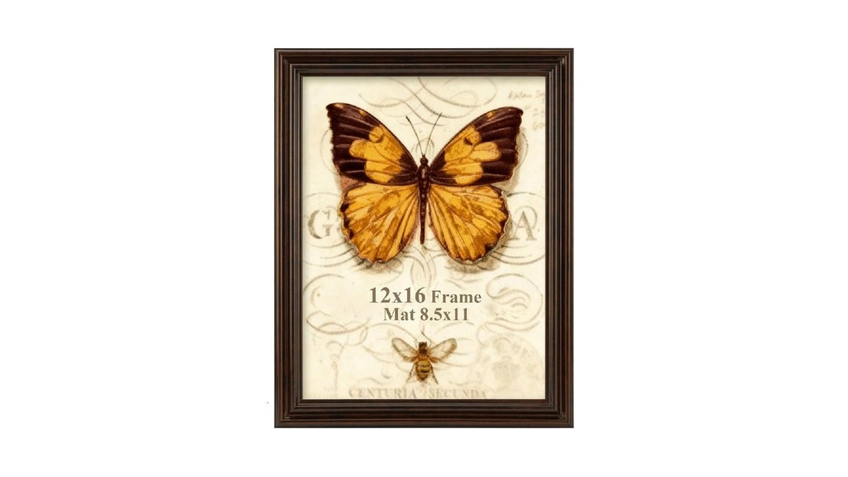 Splinterix 12x16 Picture Frame, 2 Pack Ornate Vintage Picture Frames