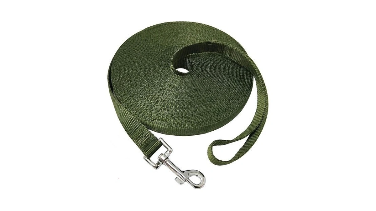 Nylon Training Dog Leash For Small Medium Large Dogs, 15ft